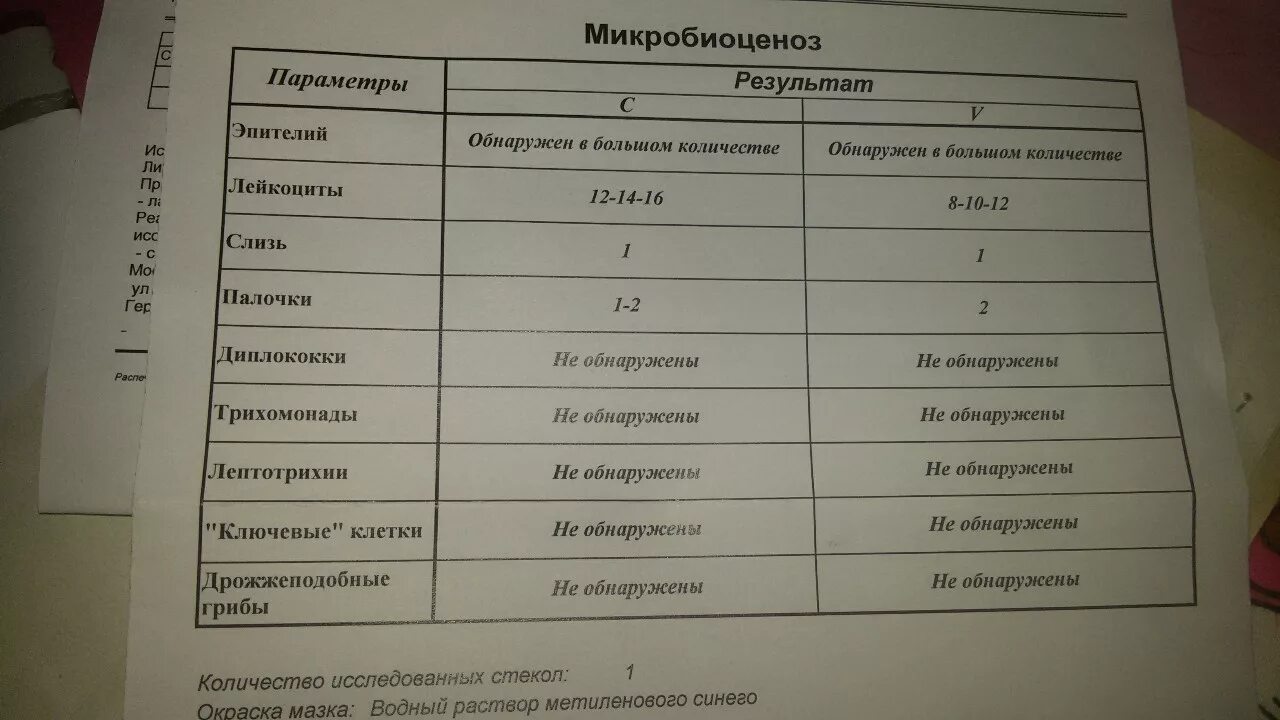 Анализ мокроты норма. Лейкоциты в мокроте норма. Анализ мокроты лейкоциты. Лейкоциты в мокроте норма у женщин. Норма лейкоцитов в мокроте норма.