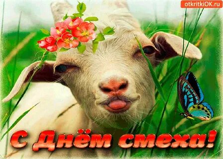 Ютуб 1 апреля