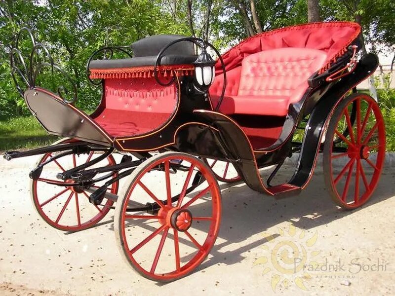 фаэтон бричка карета. дети кембриджей в карете. конный экипаж с открывающимся верхом. фаэтон коляска. фаэтон карета.