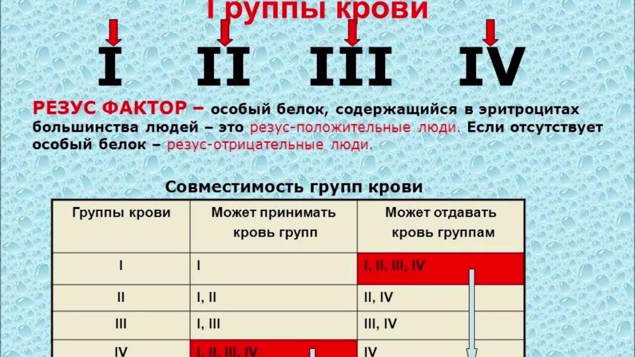 Группы крови 2 + 4 группа. 1 И 1 группа крови. Самая редкая группа крови. 3 Группа крови.