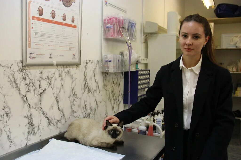 добрый доктор саратов. сумбаевы ветклиника пенза. город волхов улица молодежная 19. добрый доктор металлострой. университетская набережная 22в в челябинске добрый доктор.