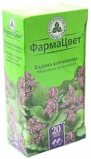 Корень бадана лечебные свойства