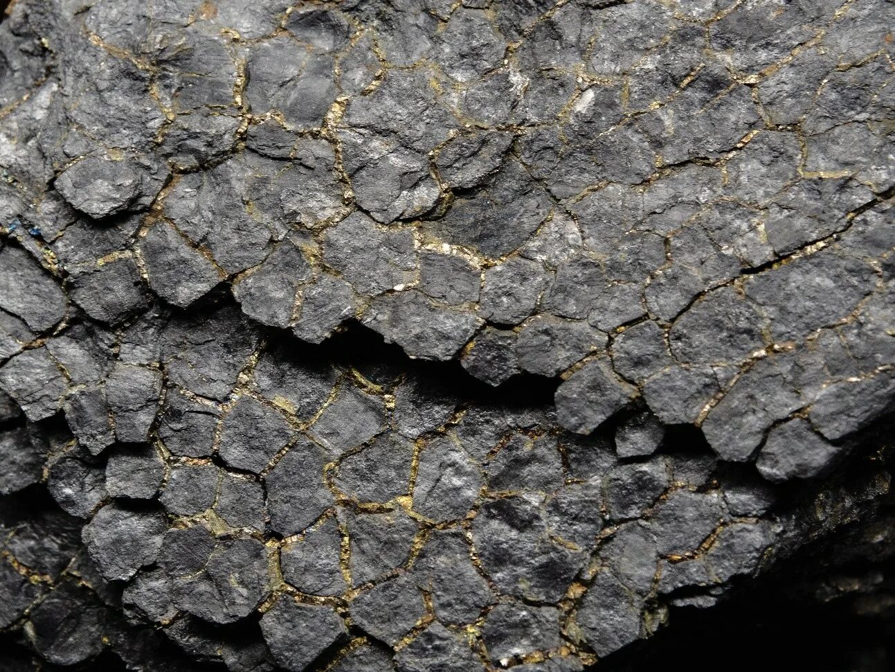 Уголь это металл. Колчедан угольный. Золотоносные руды руды. Золото в угле. Каменный уголь в природе.