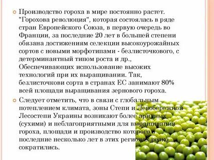 Рост гороха