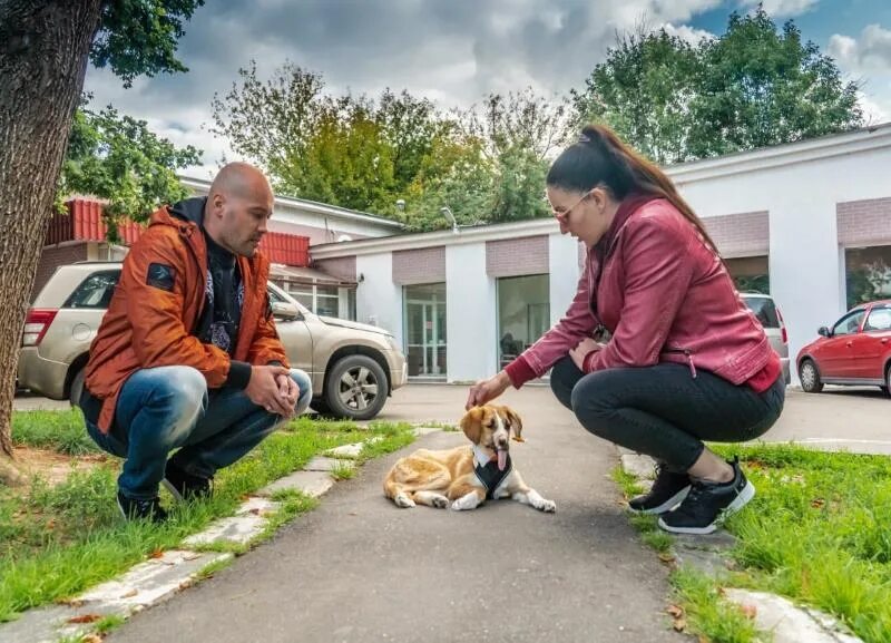 Человек выписывает на улицу собаку.