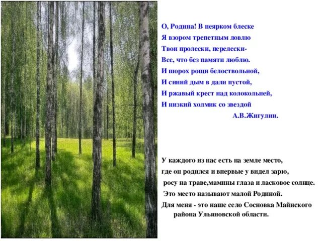 Я брожу в березовом перелеске. Стихи о родине. Стихотворение о Родина Жигулин. Стих о Родина в неярком. Четверостишье про родину.