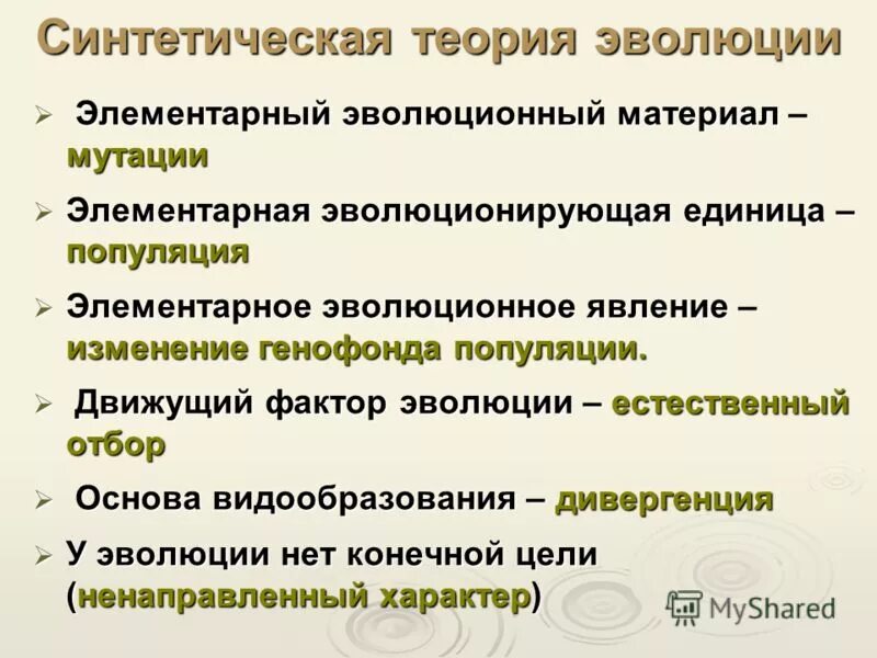 Тема синтетическая теория эволюции. Современная синтетическая теория эволюции. Факторы синтетической теории эволюции. Становление синтетической теории эволюции. Синтетическая теория эволюции (СТЭ).