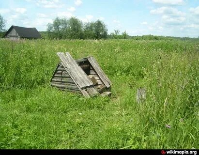 Неделя в деревне