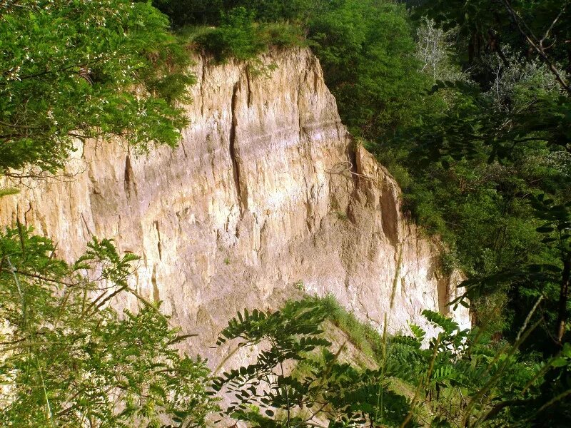 Эоловые лессы. Лессы и лессовидные суглинки. Супесь лессовидная. Эоловые лессы. Сайт лесс.