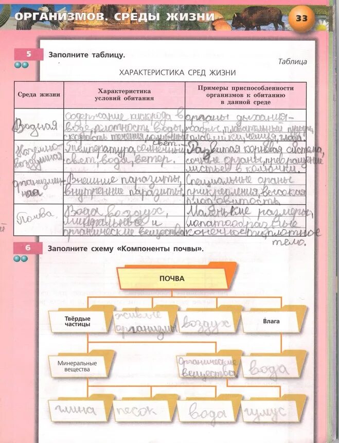 Таблица среды обитания организмов 5 класс биология рабочая тетрадь. Таблица среда обитания организмов 5 класс биология таблица. Среда обитания организмов 5 класс биология таблица гдз. Среда обитания организмов 5 класс биология таблица.