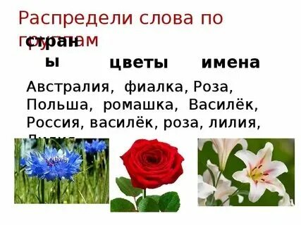 Примеры тематических предложений