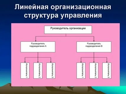 Виды организационных принципов