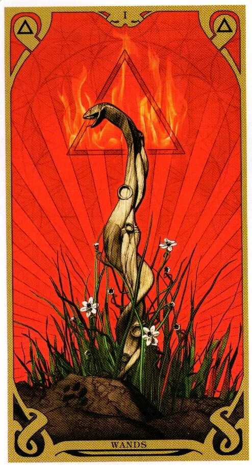 колода таро солнца. таро черного солнца галерея. таро темного солнца фабио листрани. колода таро солнца. колода ночного солнца таро.