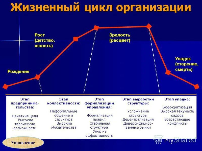 Жизненный цикл проблемы. Последовательность основных стадий жизненного цикла организации. Последовательность этапов жизненного цикла организации. Этапы развития организации жизненный цикл организации. Описание стадий жизненного цикла организации.