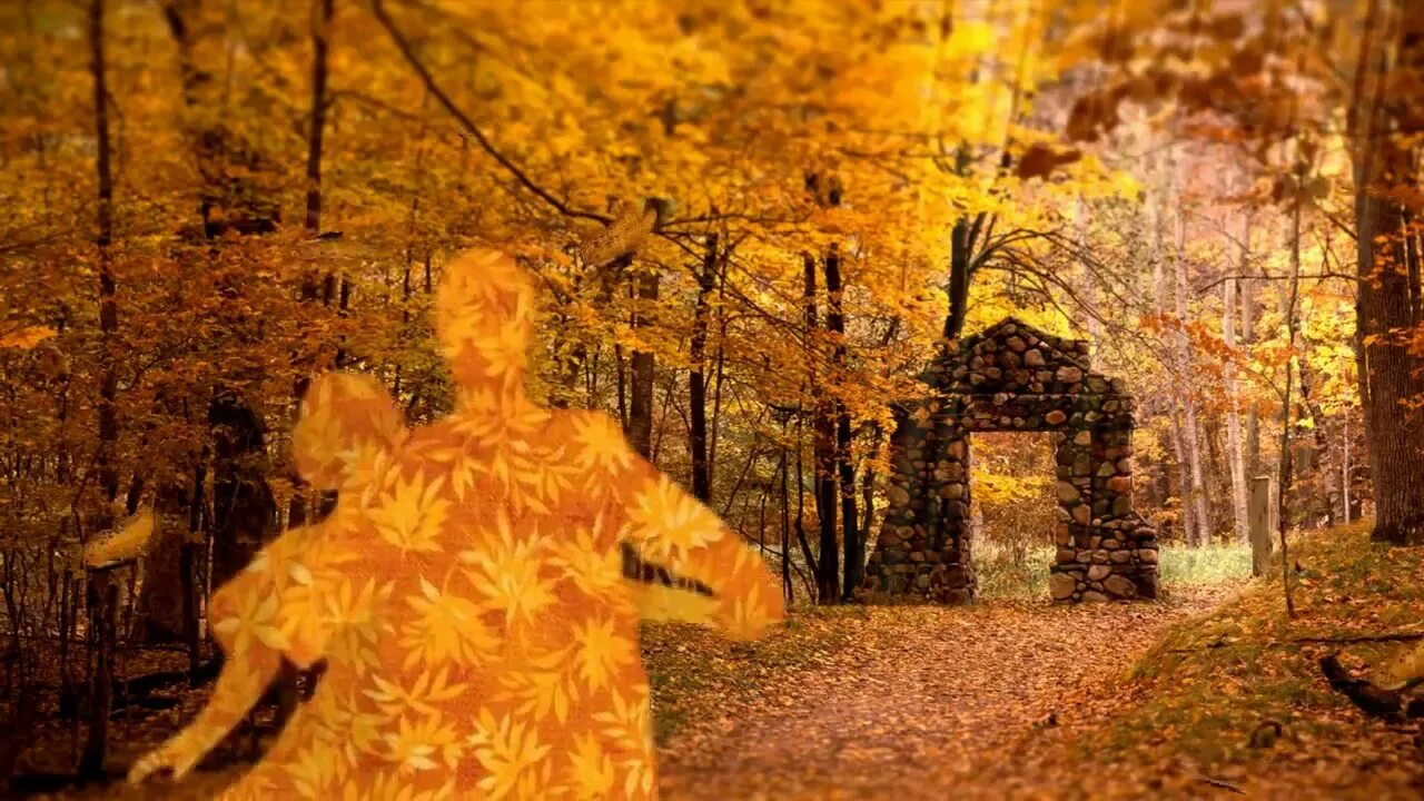 Песня листья кружит ветер. Осень кружит. Осень гармонь вальс. Песня в вальсе кружится листва. Ретро-дуэты листья желтые над городом кружатся 2006.