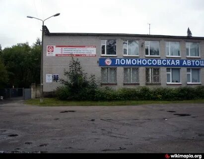Лит 26