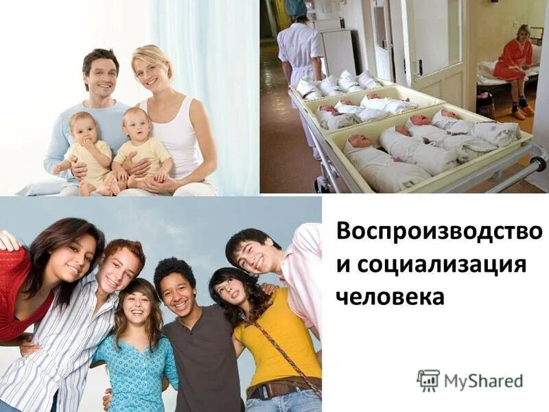 функции общества. воспроизводство и социализация человека в обществе. функции общества обществознание. воспроизводство и социализация человека в обществе. основные функции общества.