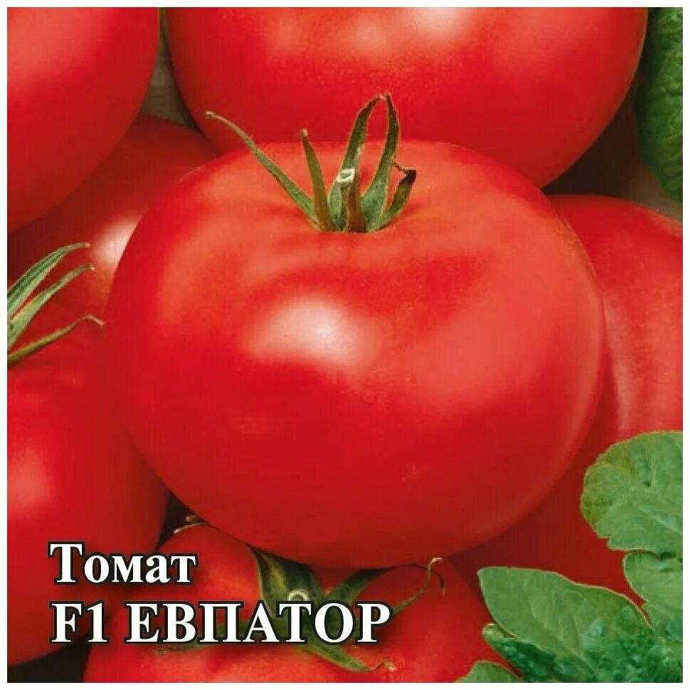 помидоры евпатор. томат евпатор f1 1+1 25шт гавриш. томат евпатор f1 характеристика. томат евпатор f1 12шт гавриш. томат евпатор f1.