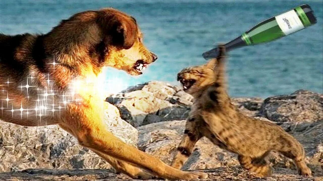 Maneater пит. Как сразиться с питом. Брэдпит бойцовский клуб. Звездная пыль фильм 2007 роберт де ниро. Тред пит в бойцовском клубе.