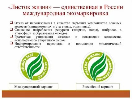 Сайт лист жизни