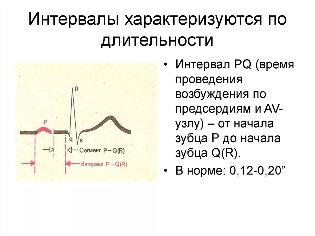 Увеличение интервала pq. Удлинение сегмента PQ. Интервал PQ характеризует. Интервал PQ на ЭКГ. Длительность интервала PQ.