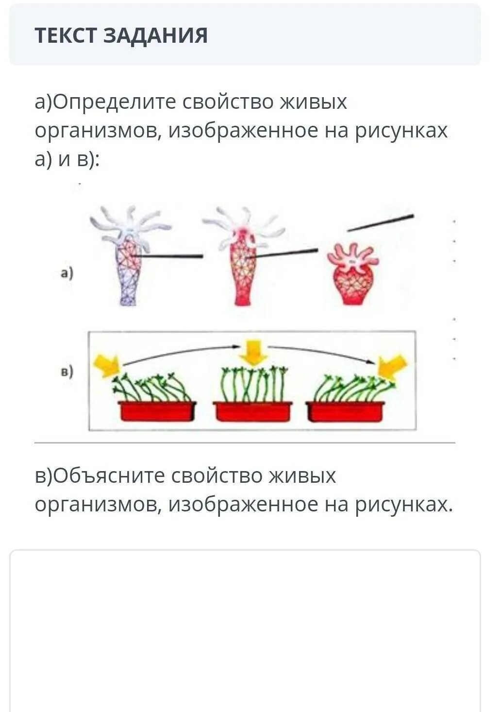 Определите свойство живых организмов. Определи свойство живого организма. 12 Свойств живых организмов. Определите свойство живых организмов изображенное на рисунках а и в. Определите свойства живых организмов