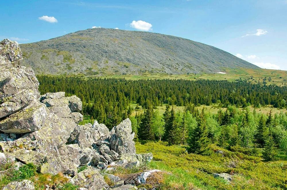 Фонды южного урала