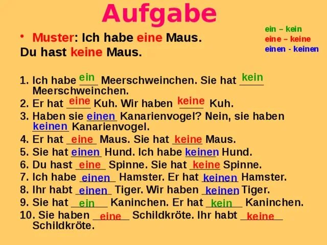 Dass sie hat. Ein eine einen в немецком. Keine в немецком языке. Глагол haben упражнения. Eine артикль в немецком.