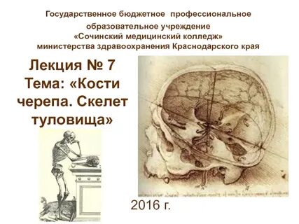 Темы рефератов на анатомию