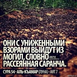 Цитаты со смыслом мусульманские про