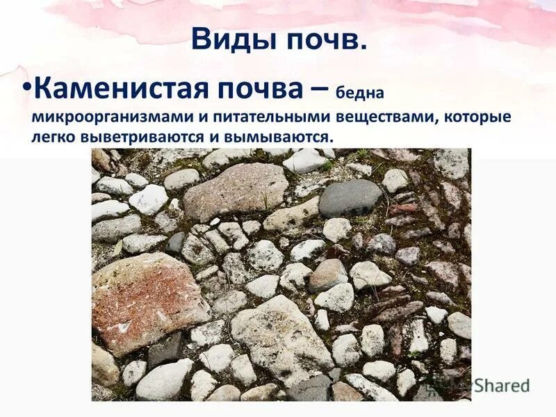 Лучшим типом почвы является. Характеристика почвы дерново подзолистые почвы. Лучшим типом почвы является. Таблица по географии характеристика типов почв в россии. Почва виды почв.