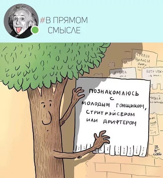 Какой прямой смысл. Буквально. В прямом смысле. Буквальные картинки. Картинки с прямым смыслом.