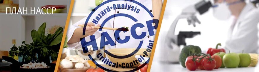 Системы контроля качества хассп. Система пищевой продукции хассп. Iso 22000 пищевая безопасность. Знак хассп. Знак хассп.