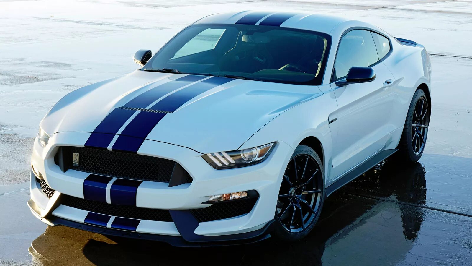 Мустанг сколько рублей. Форд Мустанг gt 350. Форд Мустанг Шелби 2015. Ford Mustang Shelby gt350. Ford Mustang Shelby gt350 2015.