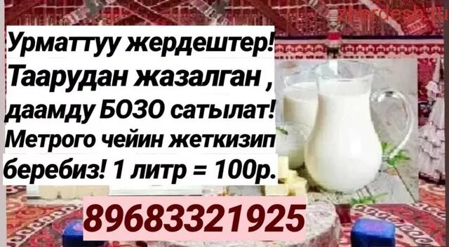 Жердеш ру алам. Бозо сатылат Москва. Бирге.ру объявление. Бозо киргизский напиток. Жердеш ру Бозо.