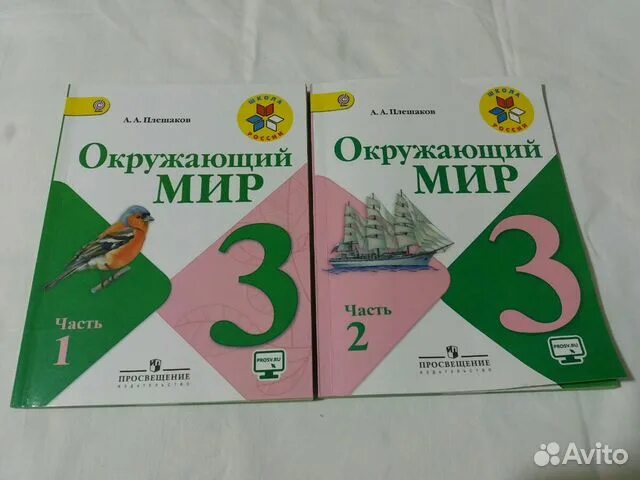 Окружающий мир 4 29 34