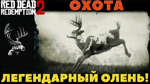 Rdr 2 олень