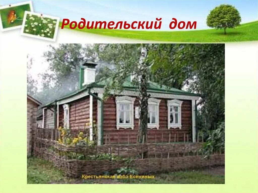 Родительский дом управление