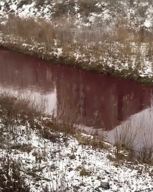 Водоемы Сибири. Река искимитка красного цвета. Речка в клюкве. Река искитимка в сибири