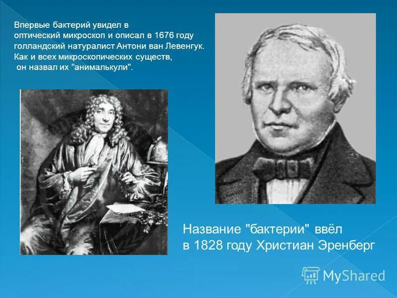 Христиан готфрид эренберг бактерии. Христиан эренберг в 1828 году. Бактериолог роберт кох. История открытия микроорганизмов. История открытия бактерий.