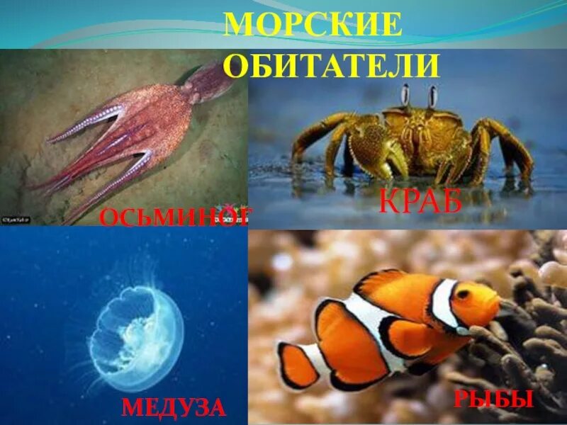 Рыбы пресных и соленых водоемов 1 класс. Обитатели соленых вод. Обитатели соленых и пресных вод. Обитатели соленых и пресных водоемов. Животные живущие в соленой воде.