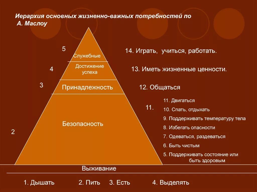 Перечислите основные жизненные