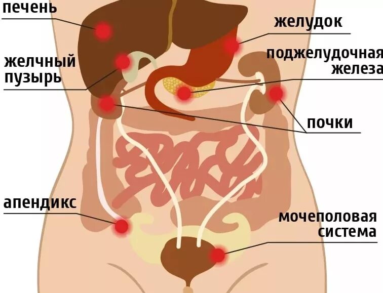Находится в самом низу. Болит правый бок. что находится в правом боку под ре. низ живота у женщин. органы расположенные в правом боку.