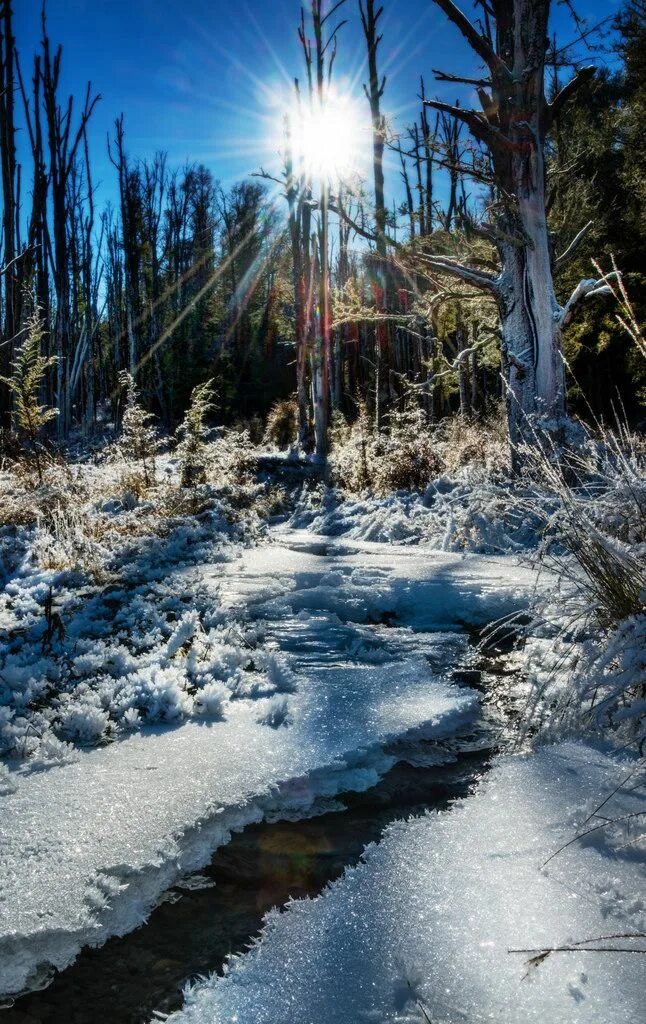 Over snow