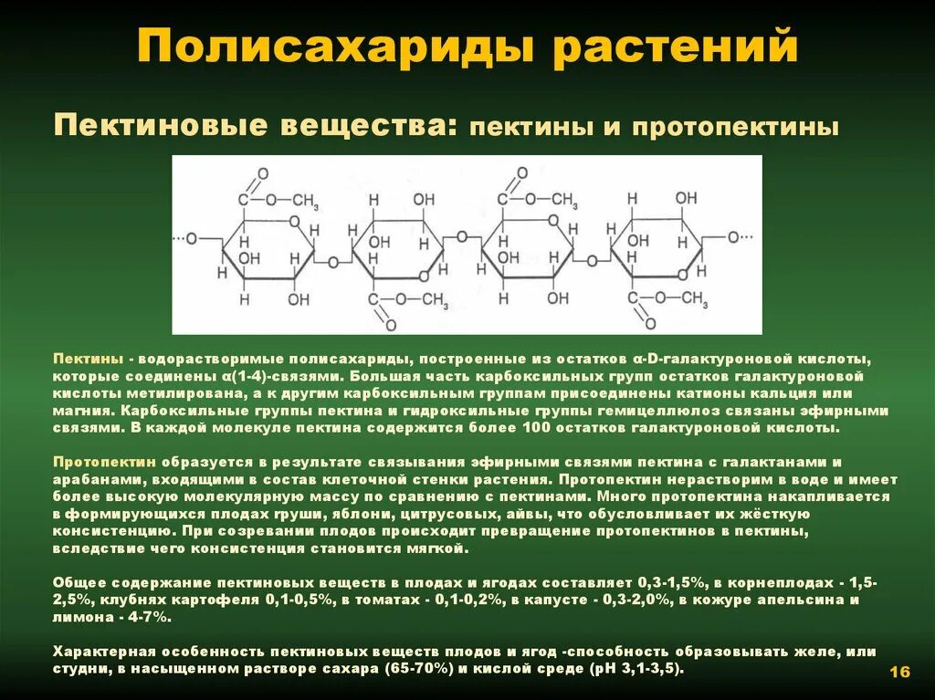 Крахмал биологическая роль. Структурный полисахарид растений это. Полисахариды в растениях. Пектиновые полисахариды. Пектин полисахарид.