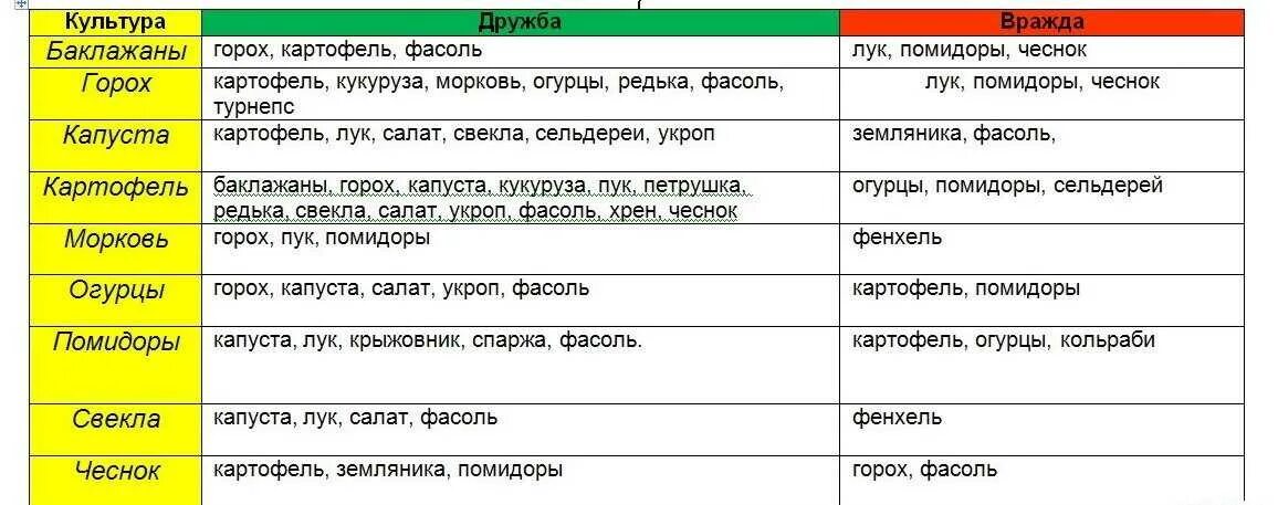 Что после чего можно садить. Что можно посадить после чего. Культуры что садить после чего. После чего сажать помидоры. Огурцы соседство