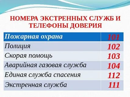 Нағыз мачо ерлер ебля есек порно смотреть