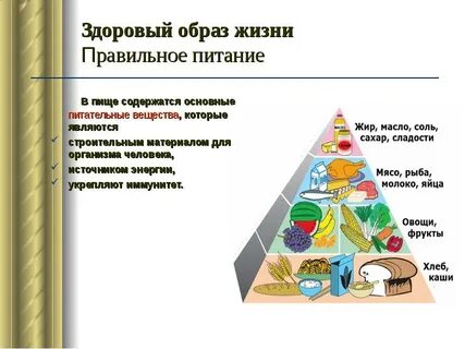 Основные пищевые вещества в питании детей