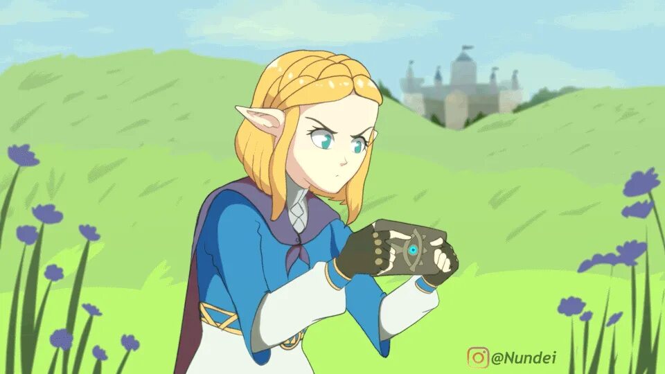 Zelda tears of the kingdom maplestar animation. Моршу Зельда. The Legend of Zelda BOTW. Зельда BOTW memes. The Legend of Zelda BOTW мемы.