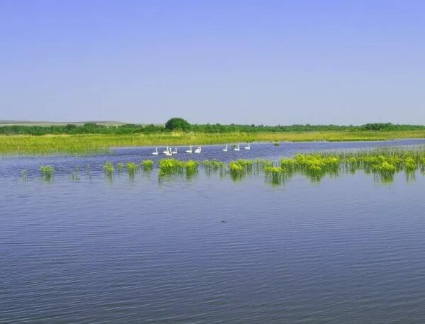 Сайт сорочинского водохранилища оренбургской области